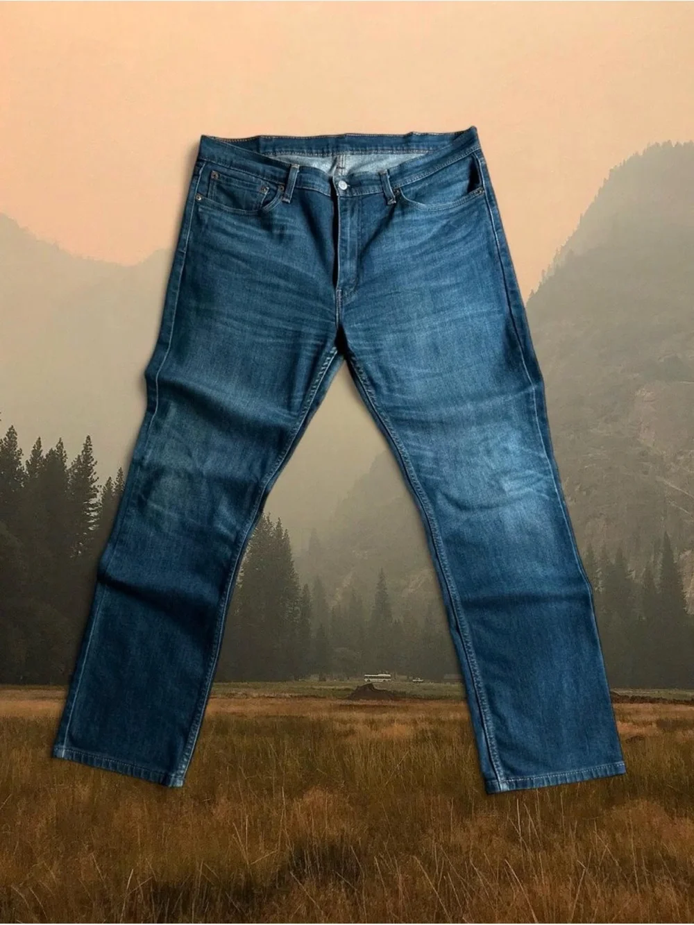 Levi's Men's Straight Blue Denim Jeans